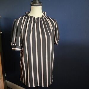 Adrianna Papell Black and Pink Dress